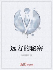 远方的秘密
